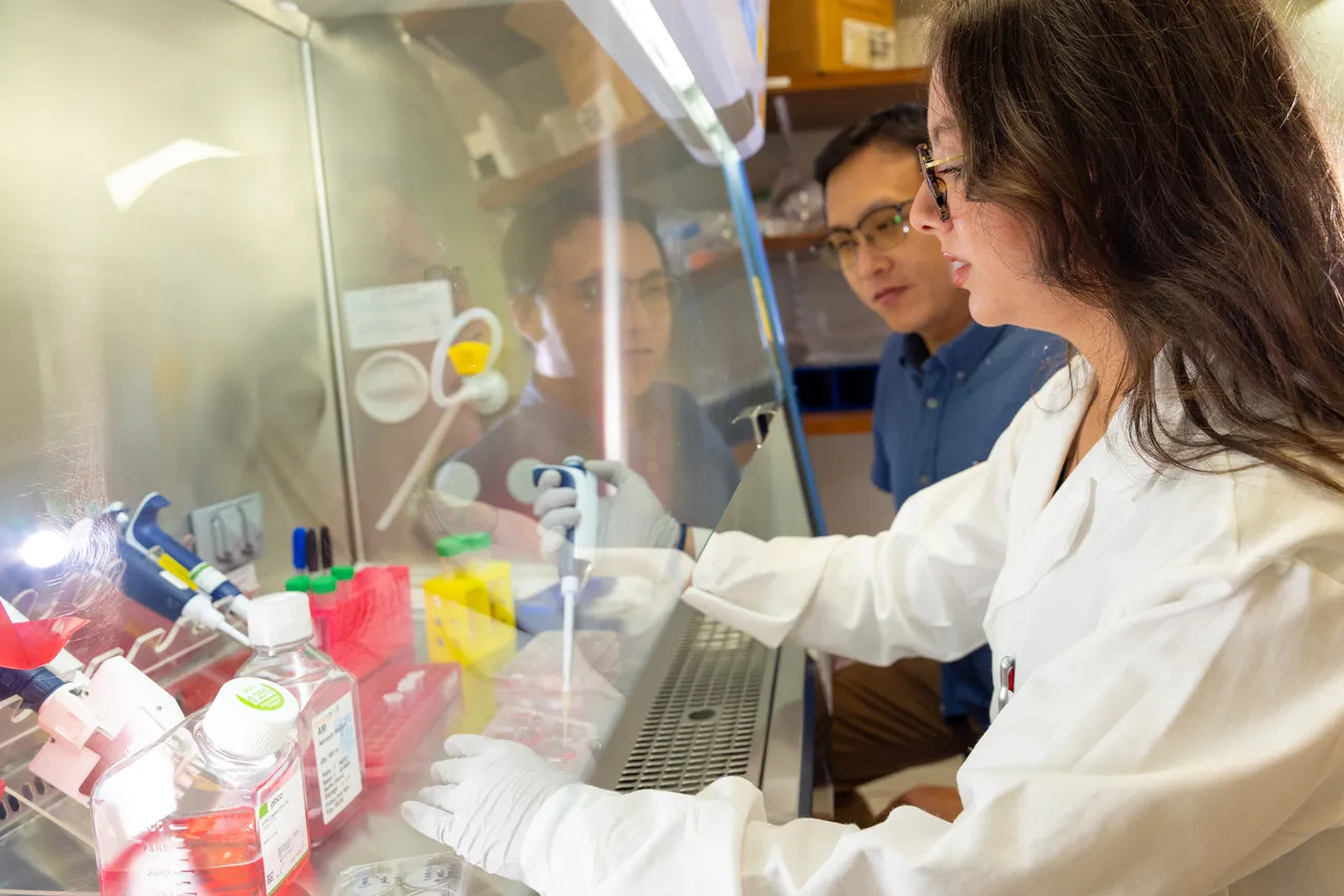 Researcher in a lab coat and gloves uses a pipette inside a biosafety cabinet while a colleague observes, with lab equipment and sample containers visible on the work surface.