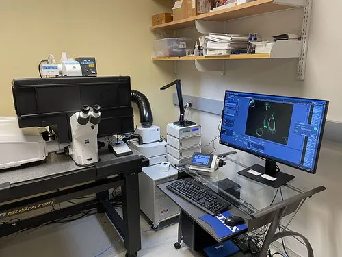 Image of the Zeiss LSM 980 with Airyscan 2 confocal microscope (inverted, fully motorized).