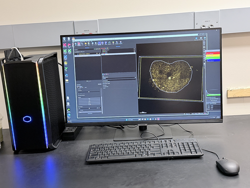 Image of Imaris - Microscopy Image Analysis Software.