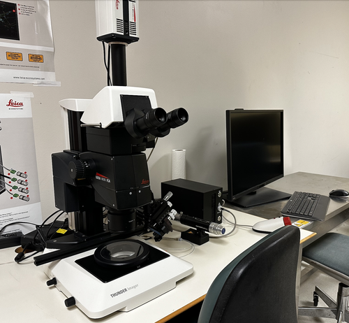Image of Leica Fluorescent Stereoscope