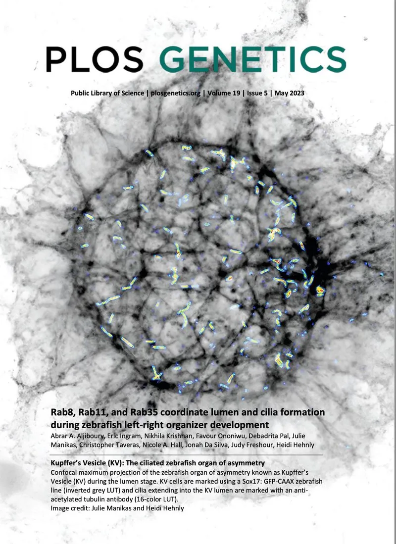 Cover of the May 2023 issue of PLOS Genetics, featuring a microscopy image of a developing zebrafish structure with fluorescently labeled cilia and cellular organization.